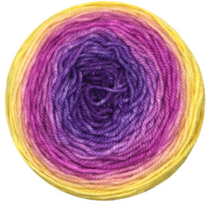 100g Hand Knitting Cake Yarn Gradient Ombre Colorful Crochet Woven DIY  Thread XX9D